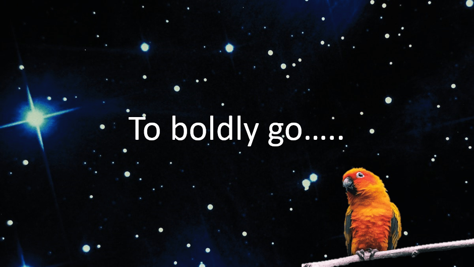 “I am not a number!”: reassessing&nbsp;assessment